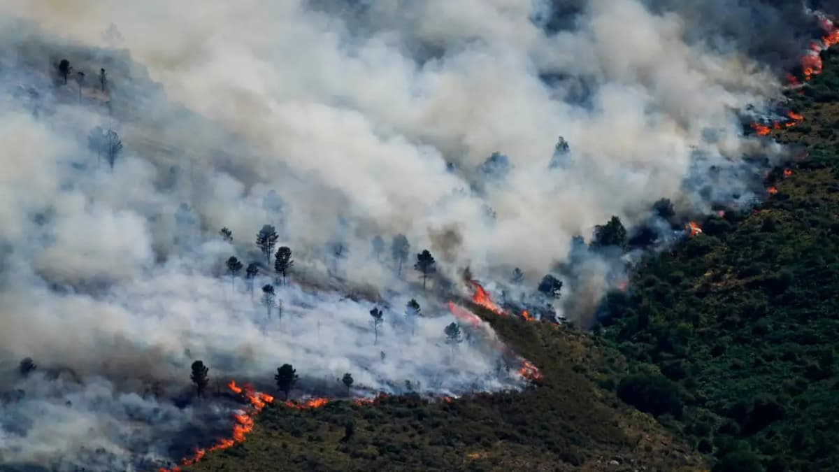 Spain and France Face National Emergencies Amid Wildfire Crisis