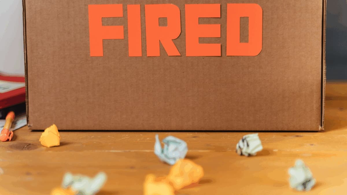 Engineer Claims Unjust Termination After Six Months at IT Firm