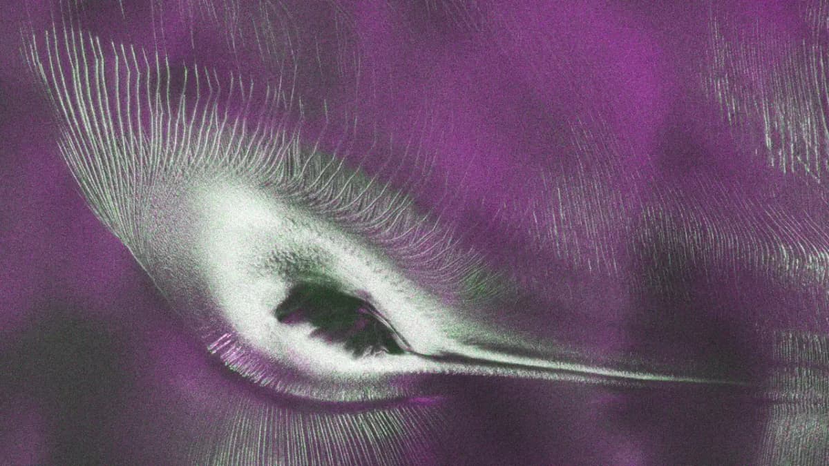 NISAR Satellite Reveals Stunning 'Hummingbird' Image in Antarctica