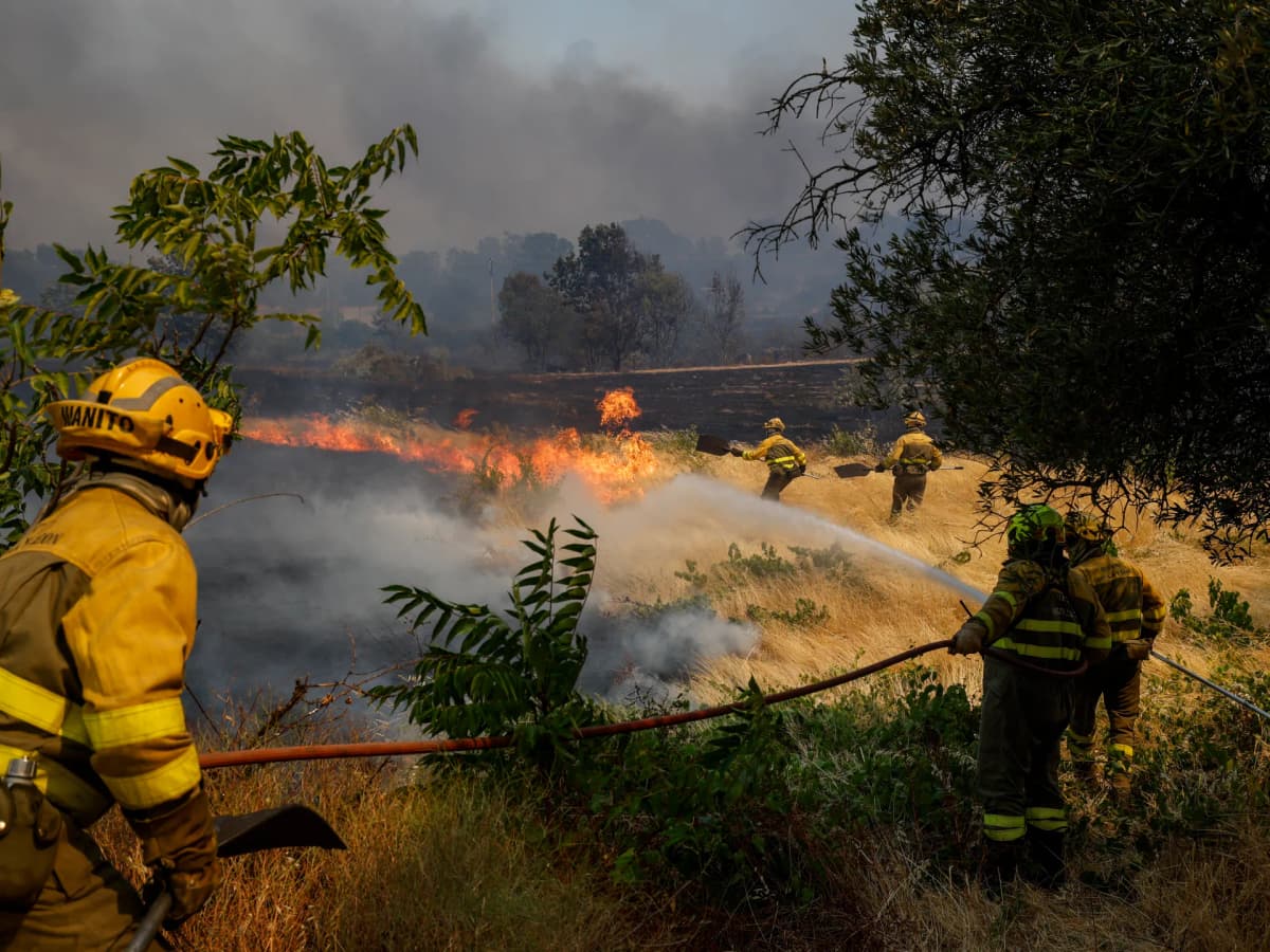 Spanish Authorities Arrest Tractor Driver Linked to Wildfire Crisis