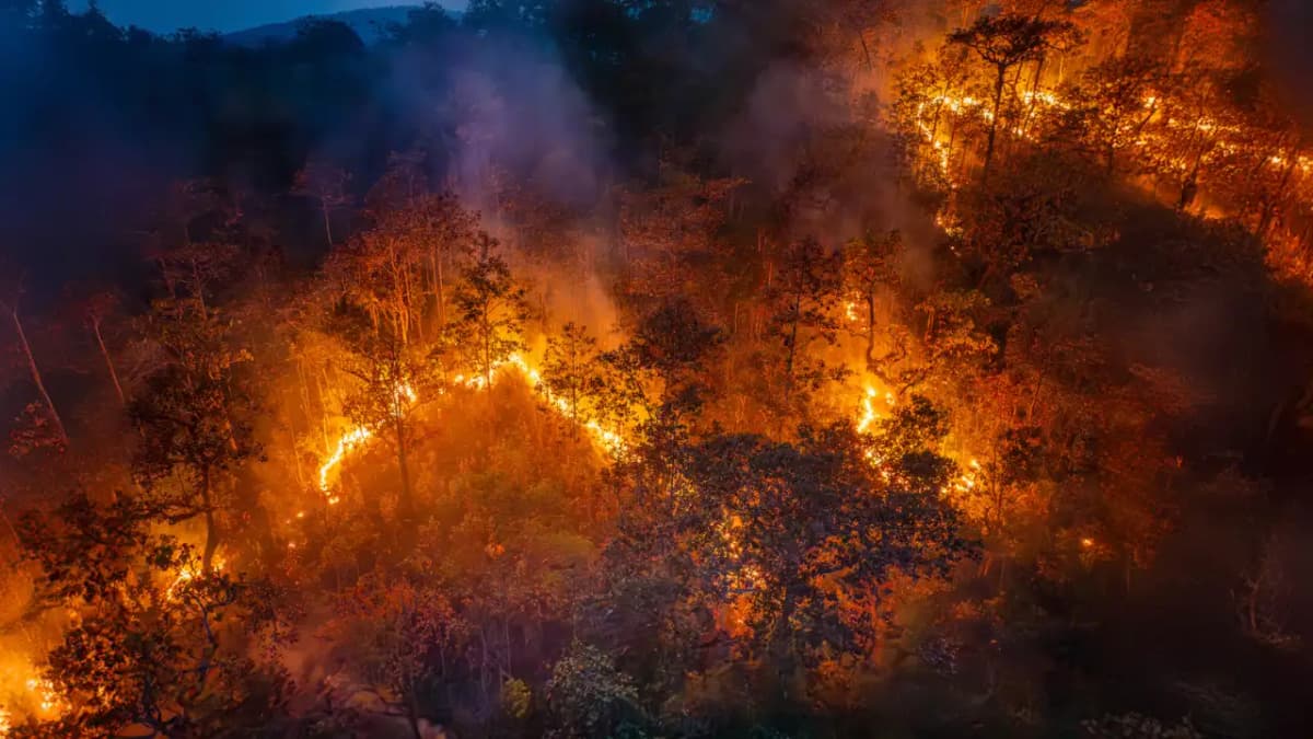 Over 110,000 Evacuated in France Due to Massive Wildfire