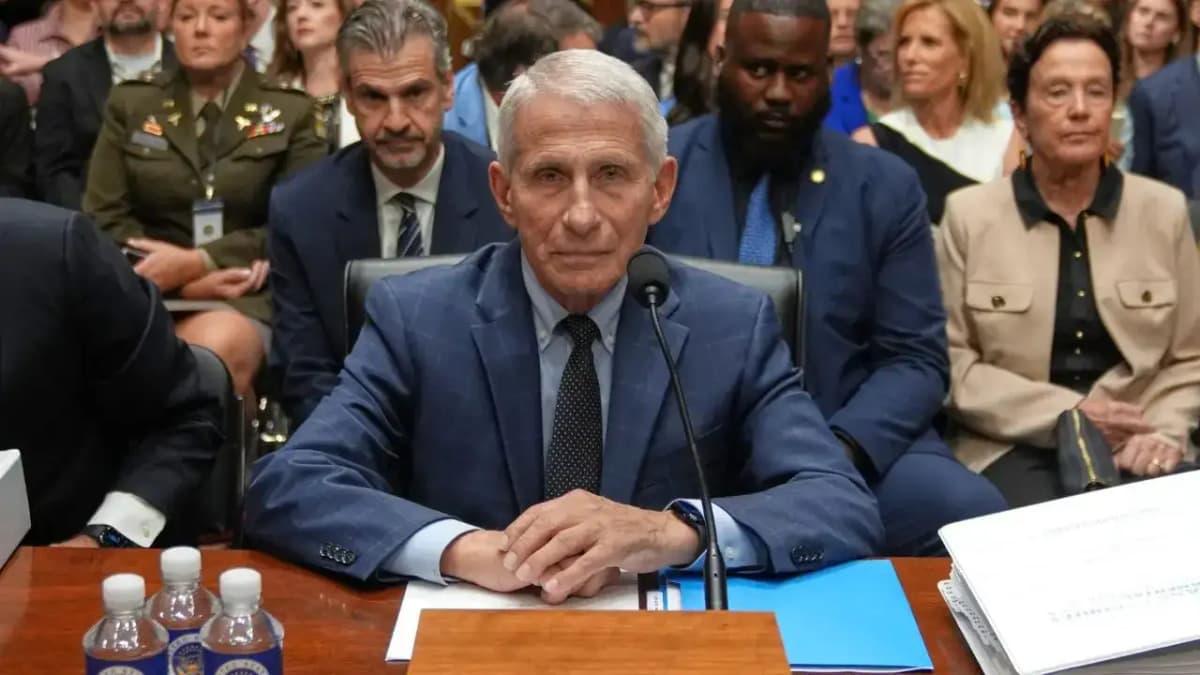 David Schertler: The Lawyer Behind Anthony Fauci's Senate Hearing