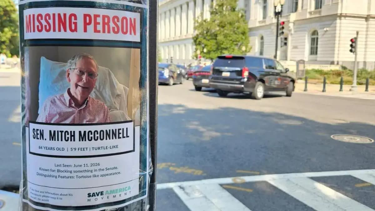 Posters Mock Mitch McConnell's Absence in Washington DC