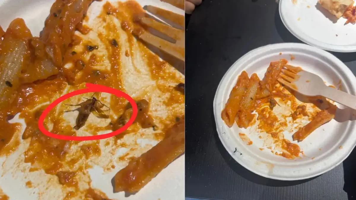 Hygiene Scandal at Mumbai Play Zone: Cockroach Found in Kids' Meal