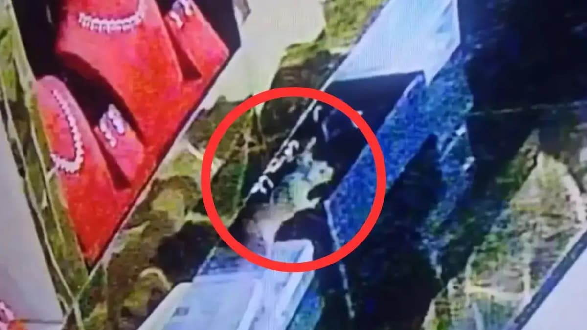 Unbelievable! Rat Caught on CCTV 'Stealing' Jewelry Worth Rs 10 Lakh in Karnataka