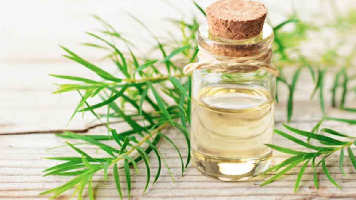 These Are The Benefits Of Tea Tree Oil