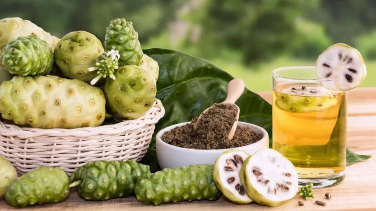 Noni Fruits Benefits
