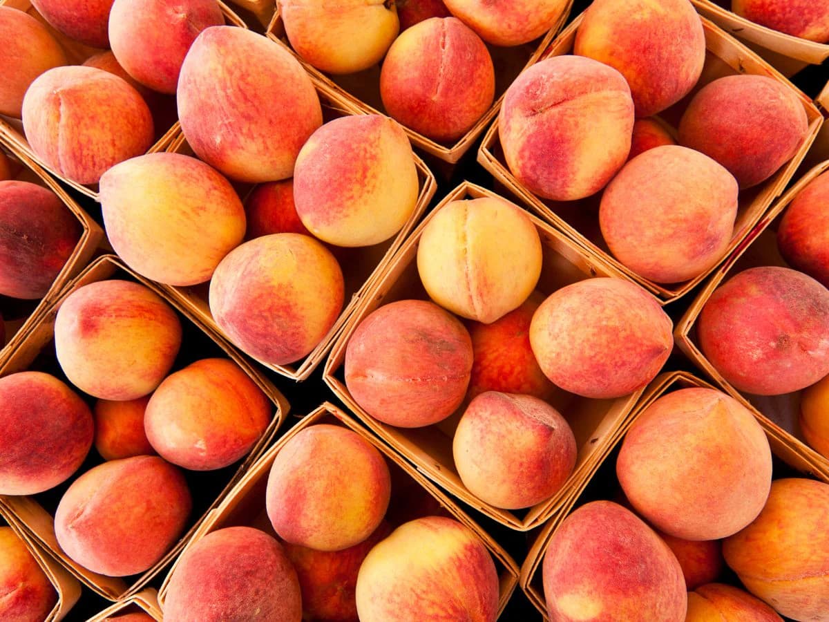 Peach Fruit Benefits