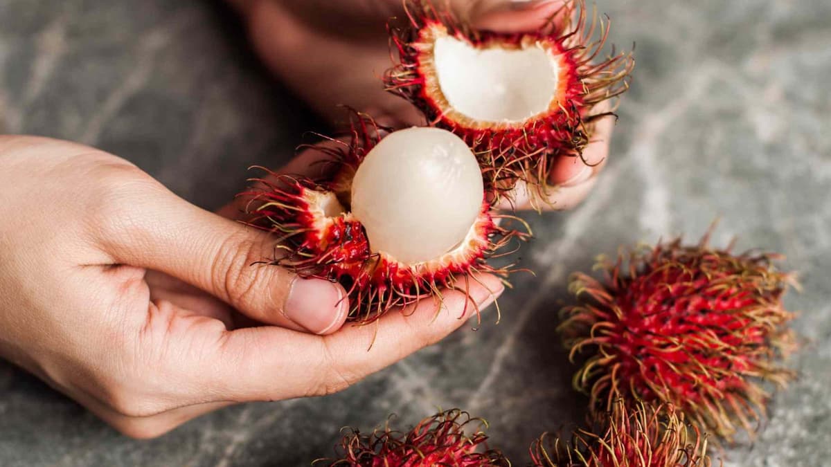 Many Health Benefits Of Eating Rambutan Fruit
