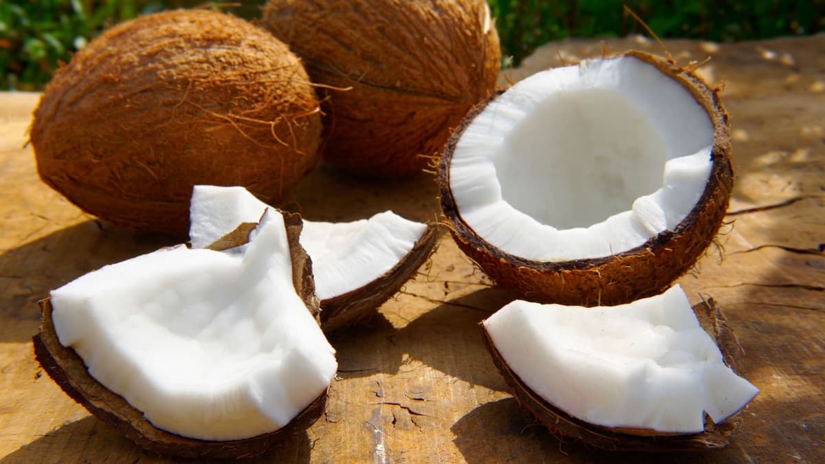 Many Health Benefits Of Eating Raw Coconut