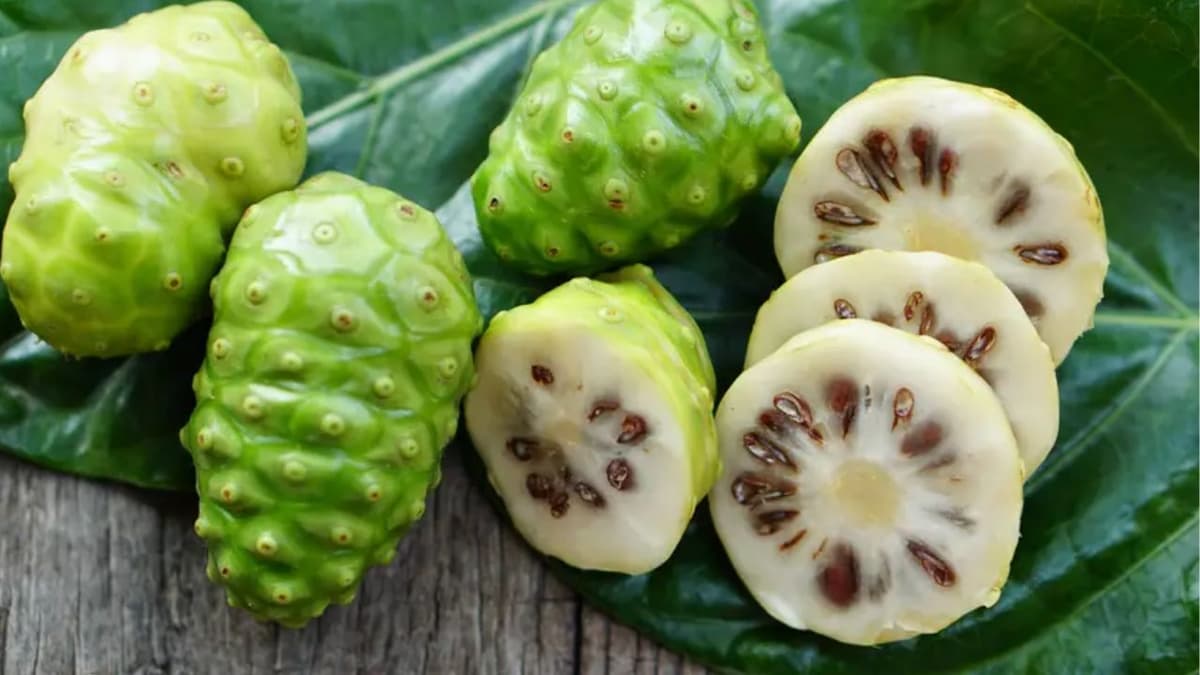 Benefits Of Noni Fruit