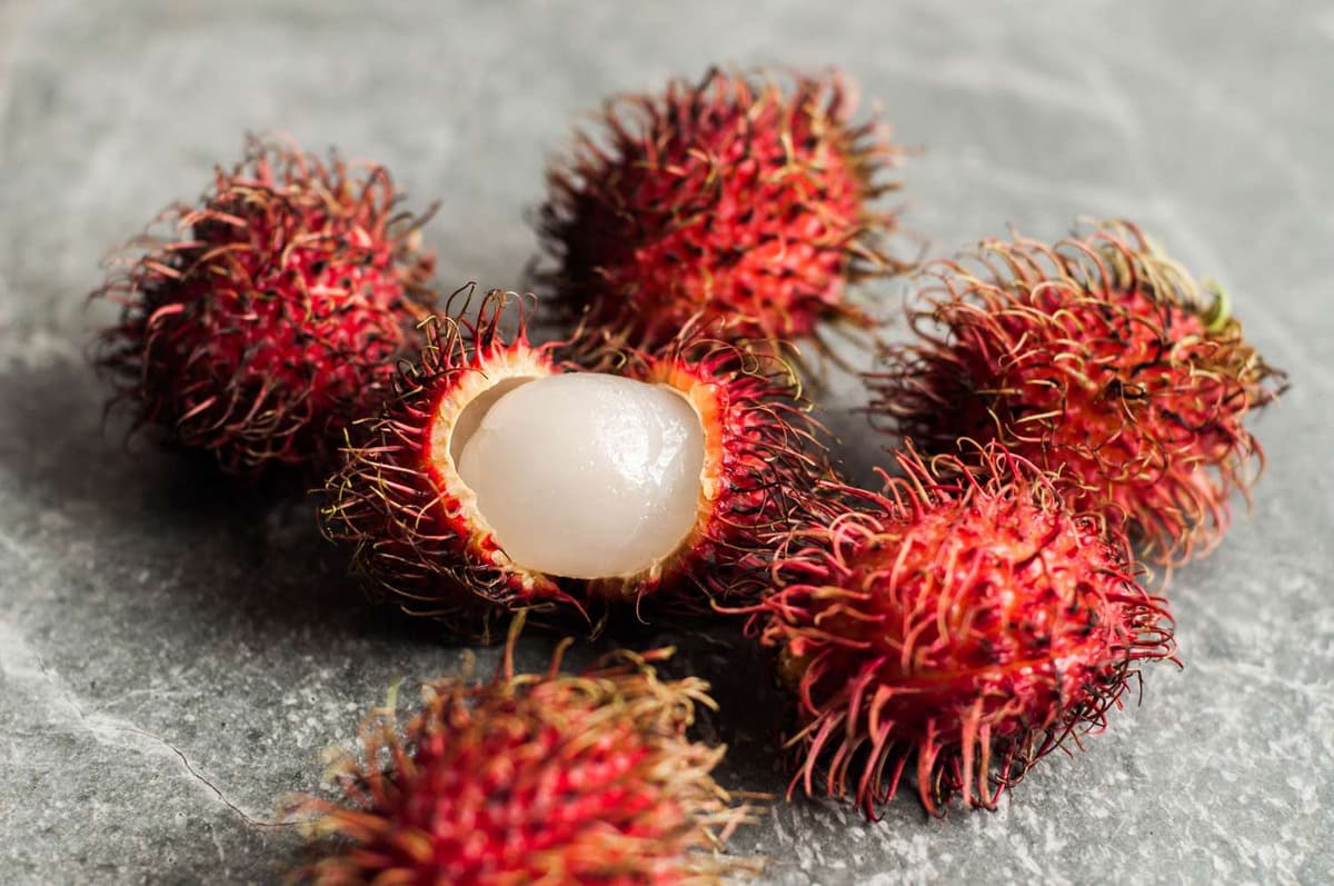 Rambutan Health Benefits