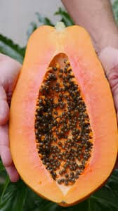 People Suffering From These Problems Should Not Eat Papaya