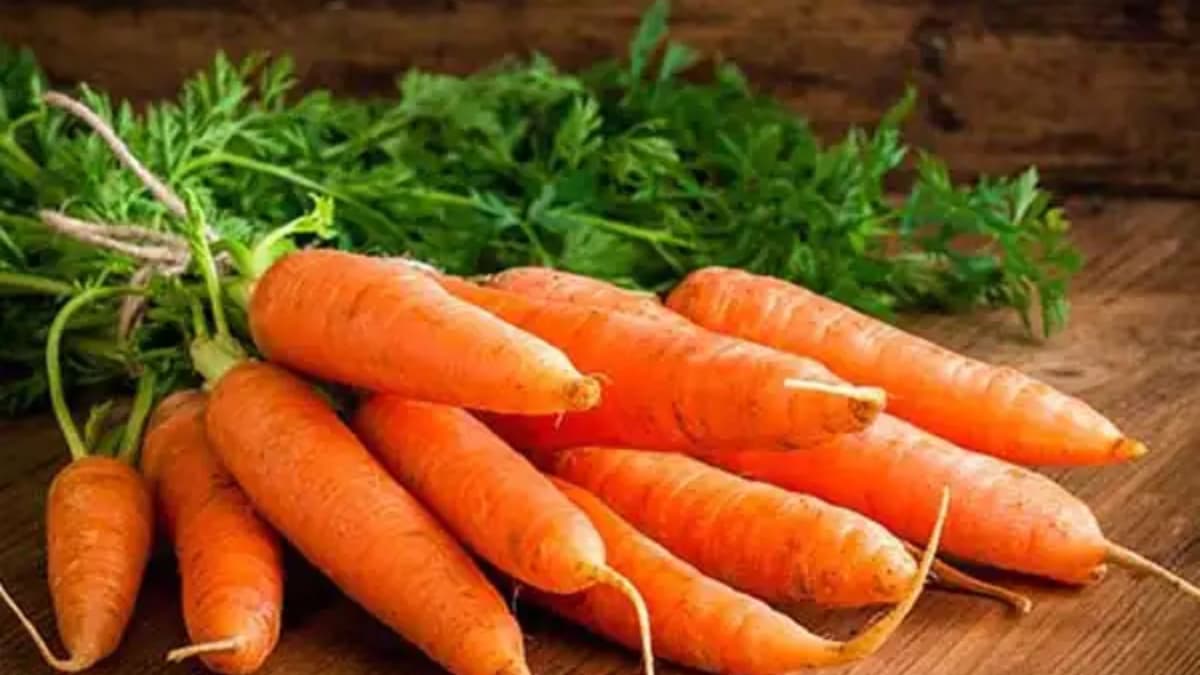 Many Health Benefits Of Eating Carrot