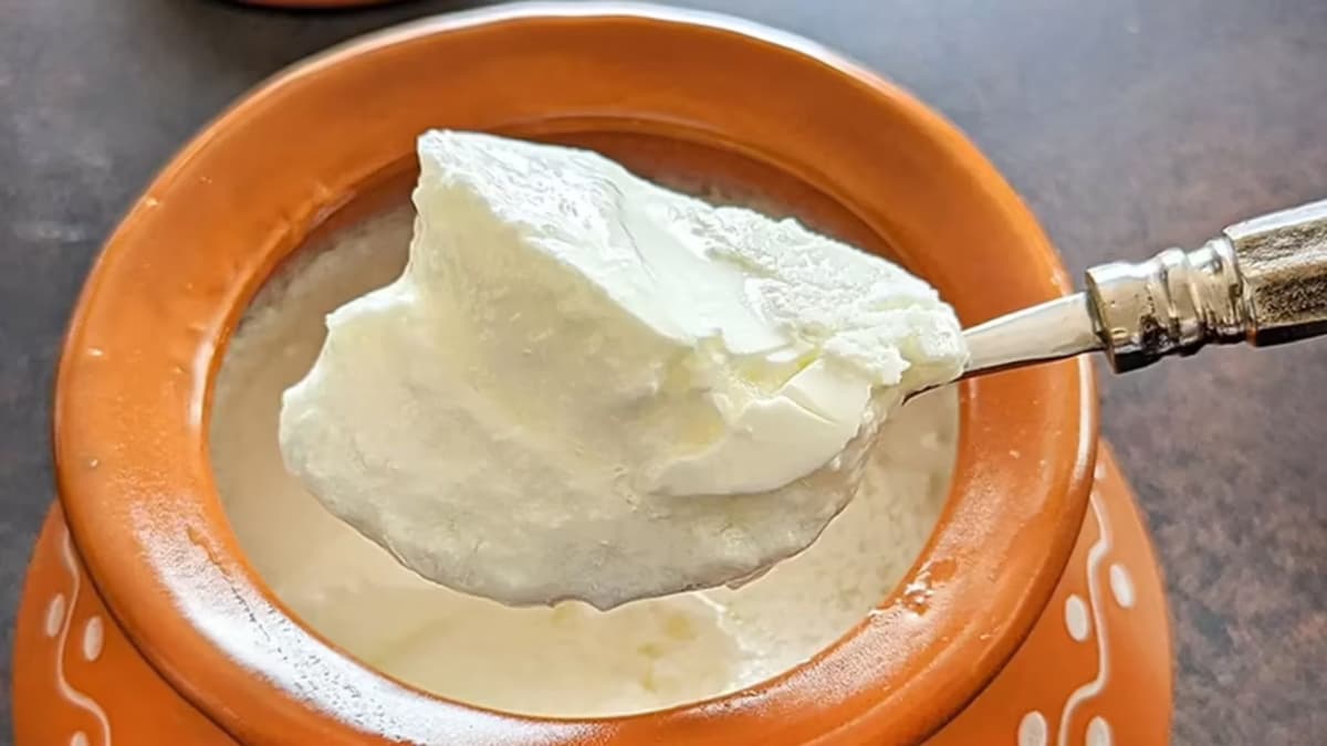 Many Health Benefits For Eating Curd In Winter