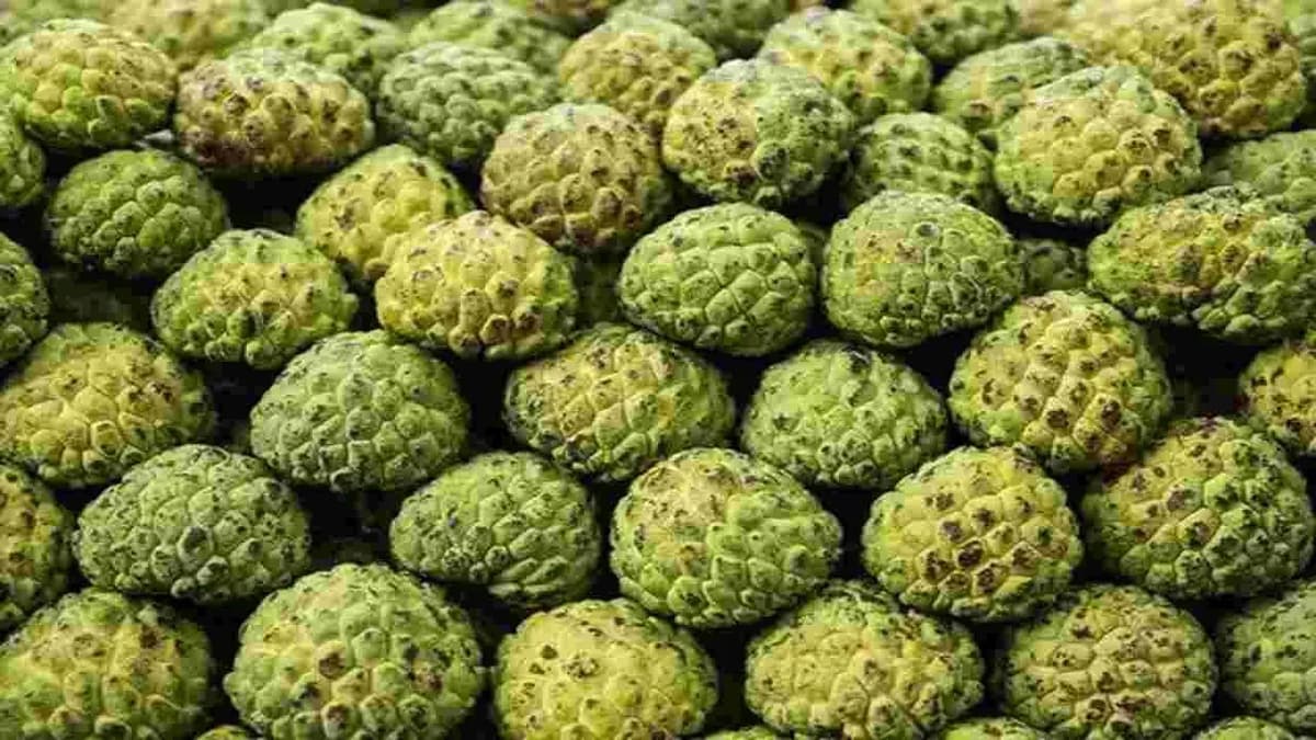 Many Benefits Of Sita Fruit