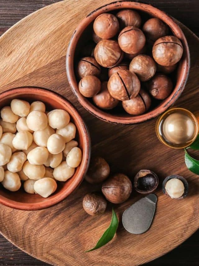 Macadamia