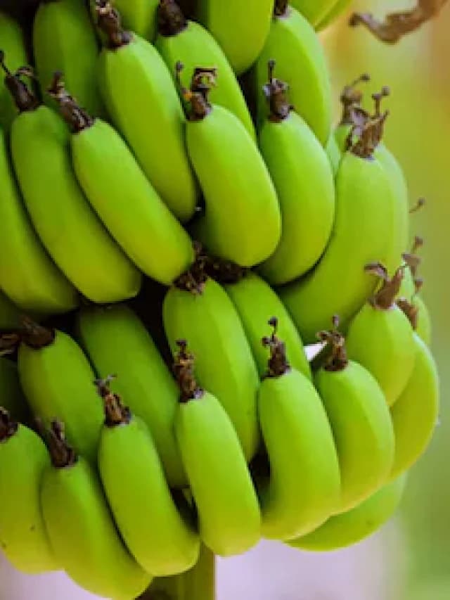 Banana Benefits