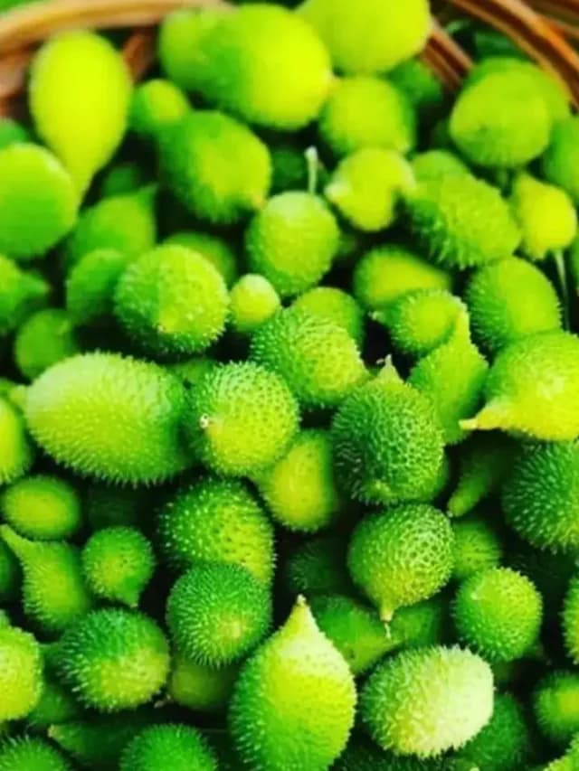 Benifits Of Bodakakara