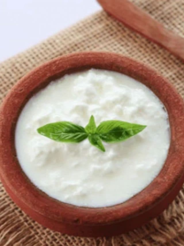 Health Benifits Of Curd