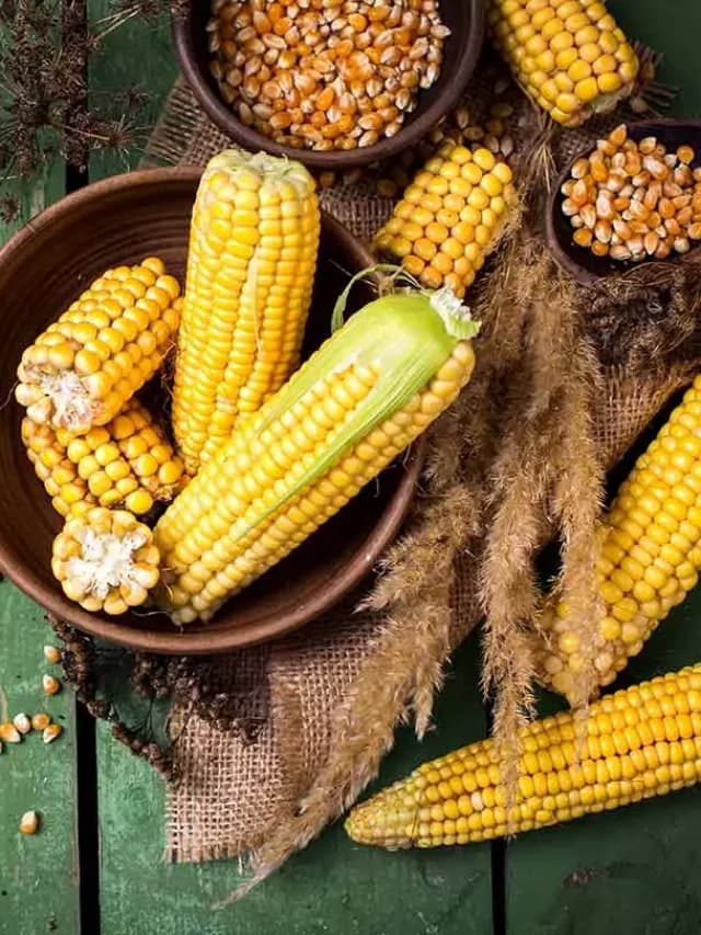 Corn Benefits