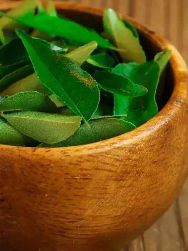 Curry Leaves