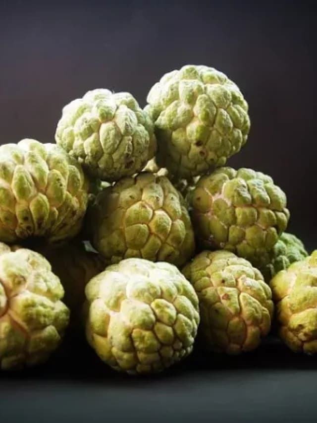 Custard Apple