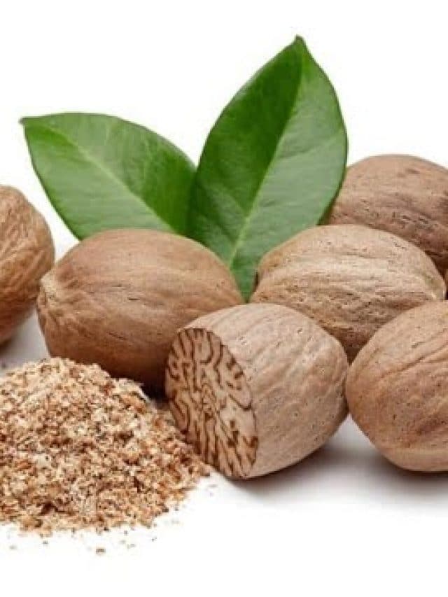Karakkaya Benefits