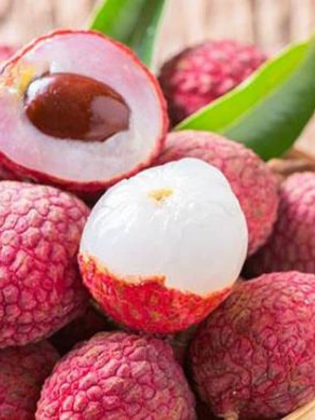 Litchi Fruit