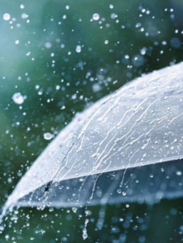 Monsoon