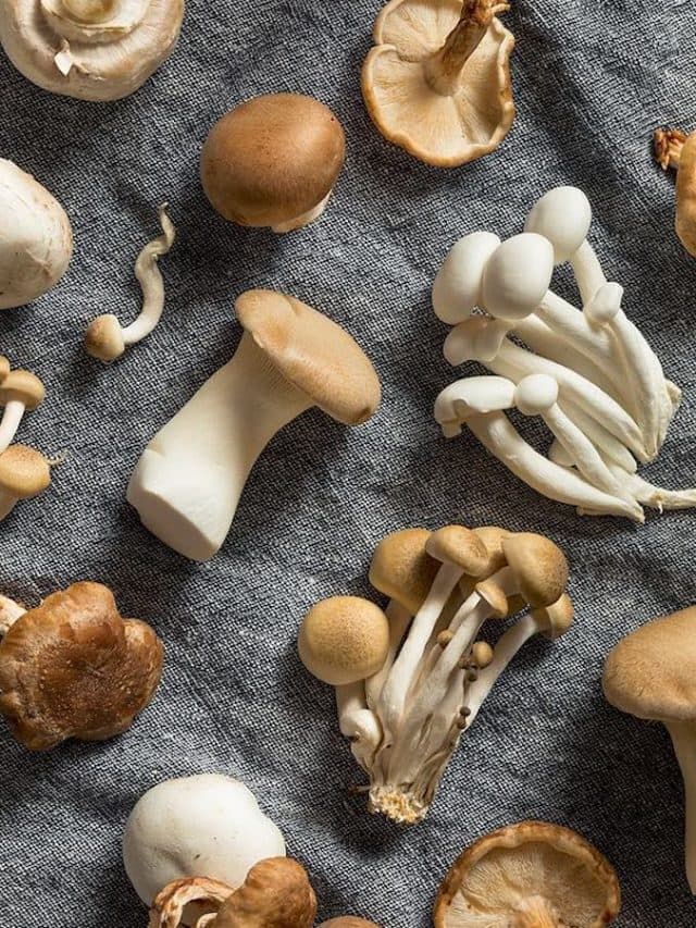 Mushrooms Benefits