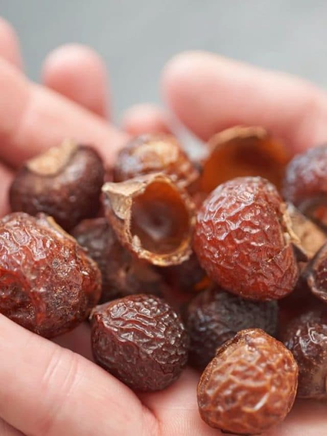Soap Nuts Benefits