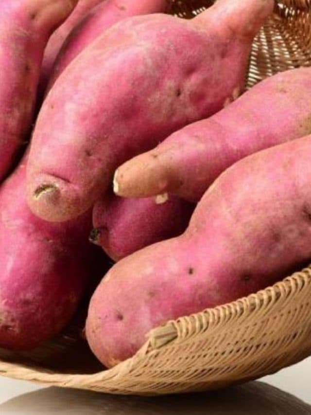 Sweet Potato