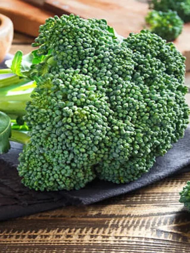 Broccoli Health Benefits Broccoli Health Benefits