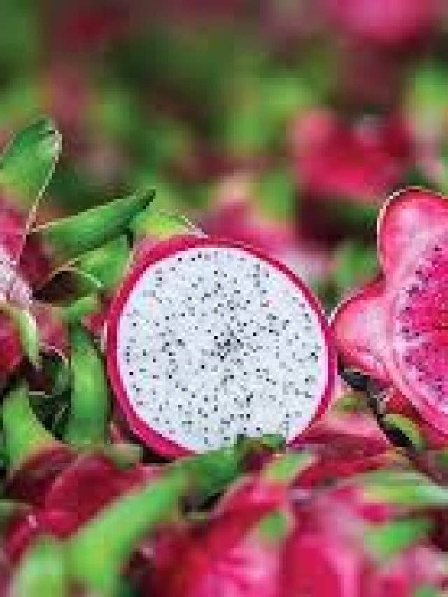 Dragon Fruit Benefits