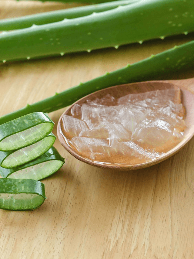 Aloe Vera Benefits