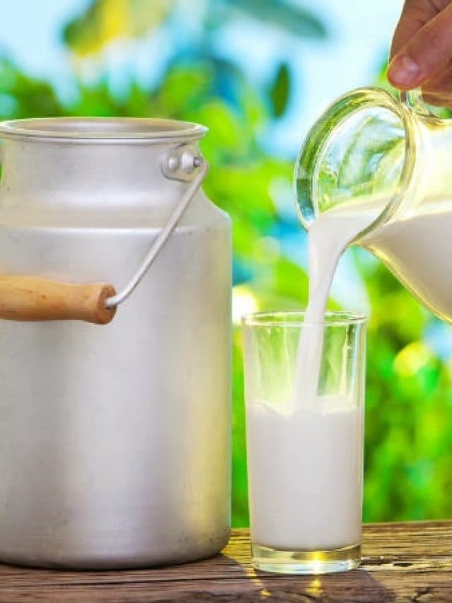 Benefits Of Milk