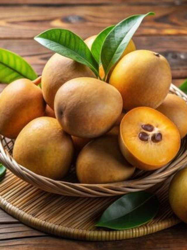 Sapota Benefits