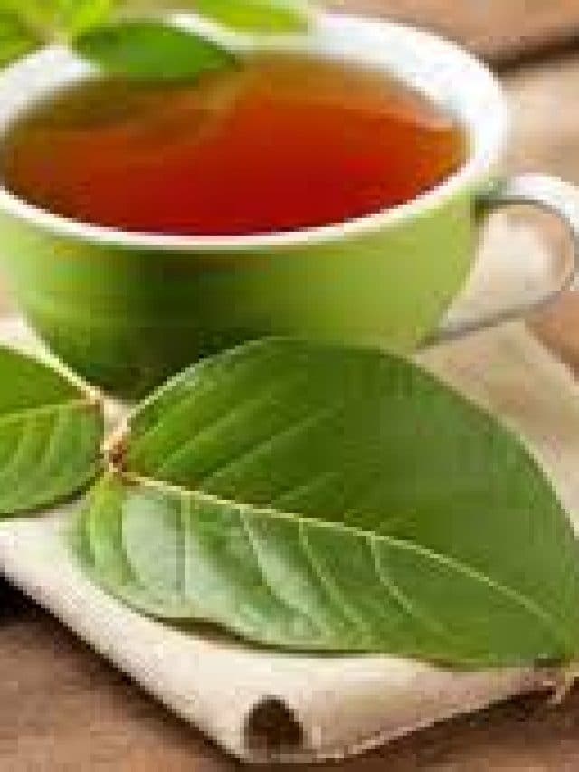 Guava Leaf Tea