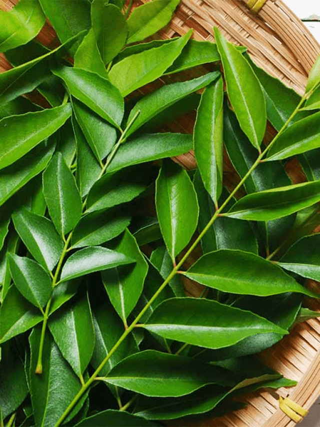 Curry Leaves
