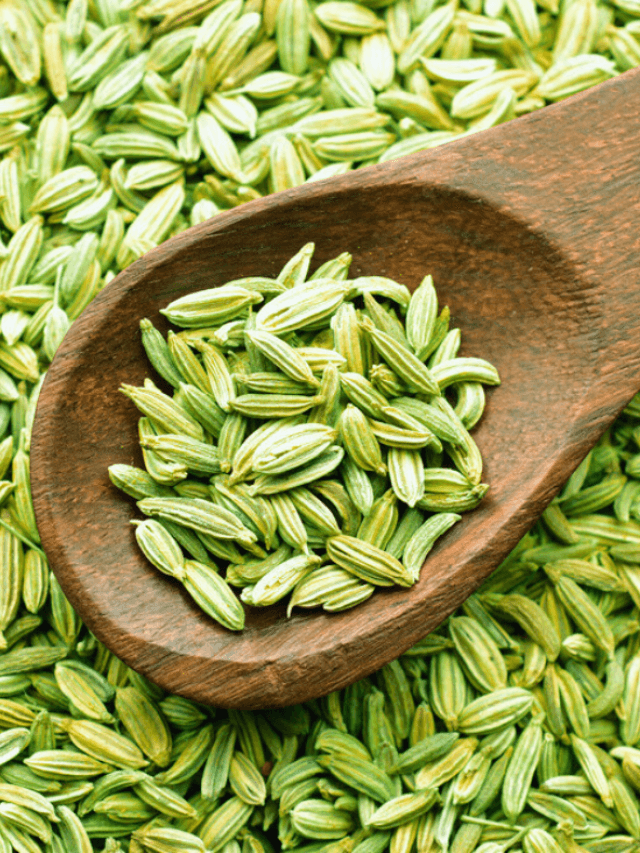 Fennel Seeds