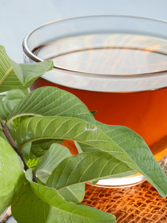 Guava Leaf Tea
