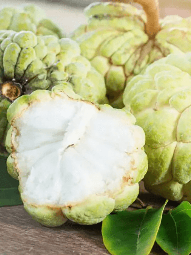 Custard Apple