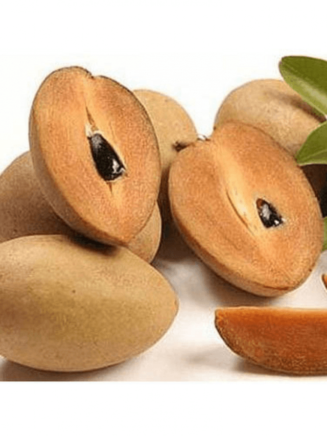 Sapota